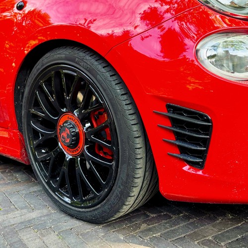 Canards side grill - grill, abarth